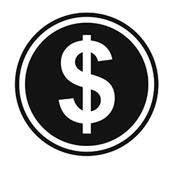 dollar icon